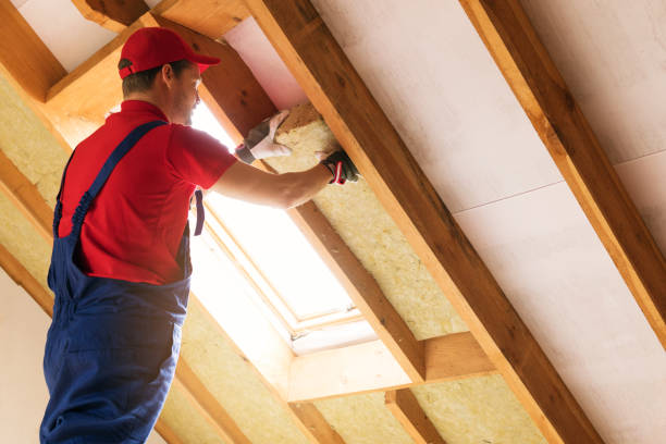 Best Attic Insulation Installation  in Two Rivers, WI